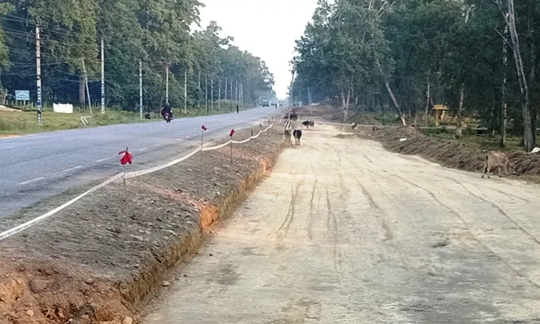 नारायणघाट बुटवल सडकमा वन्यजन्तुका लागि ३५ ‘अन्डरपास’ निर्माण हुने
