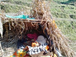 जाजरकोट : त्रिपालमा आश्रित भूकम्पपीडित बिरामी   