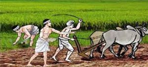 कृषि गणना २०७८ : प्रदेशमा कृषिबाटै खान नपुग्ने परिवार ५६ प्रतिशत   