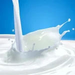 दूध बिक्री नभएपछि दैनिक ४२ लाख घाटा बेहोर्दै किसान   