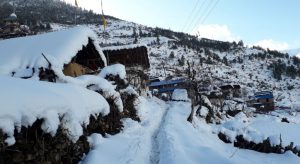 ताप्लेजुङको उच्च हिमाली क्षेत्रमा हिमपात हुँदा किसान खुसी   