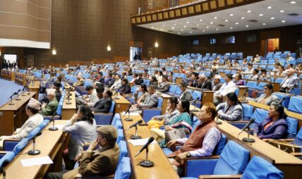 भन्सार विधेयक बहुमतले पारित   
